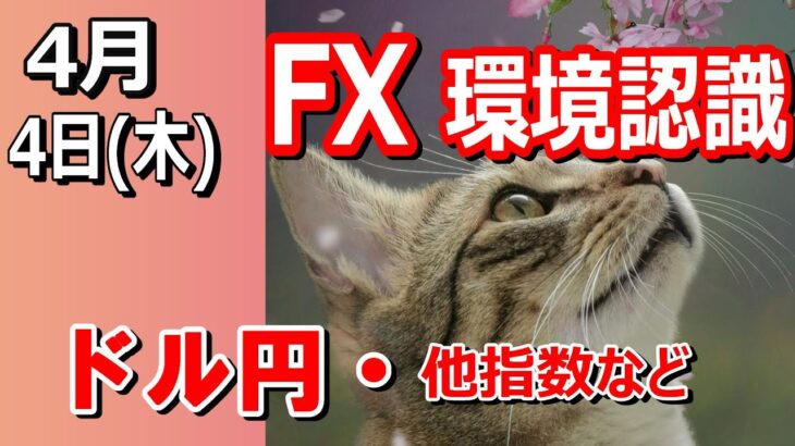 【TAKA FX】ドル円他各通貨の環境認識解説。各種指数、GOLDなど　4月4日(木)