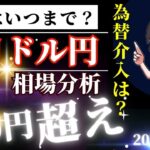 【止まらない円安・ドル円160円になる可能性】FX円安進行！為替介入のタイミング・米国の利下げ時期・日銀の利上げの効果・６月ドル円相場分析