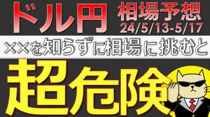 【ドル円最新予想】来週のドル円は攻め方を間違えると大損します。理由と正しい攻め方を簡単解説！来週の為替相場予想と投資戦略！為替介入・CPI・PPI・小売売上高に注目(24/5/13週)【FX】※