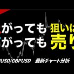 チラつく利下げ【FX】ユーロドル ポンドドル 最新の相場分析/環境認識