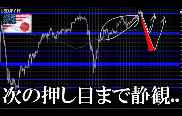 最新取引シナリオ｜次の押し目買いポイント【FXポンド円/ドル円】