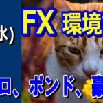 【TAKA FX】ドル、円、ユーロ、ポンド、豪ドルの環境認識解説。5月1日(水)