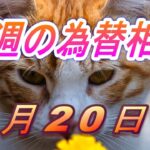 【TAKA FX】ドル、円、ユーロ、ポンド、豪ドルの環境認識解説。5月20日(月)～