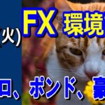 【TAKA FX】ドル、円、ユーロ、ポンド、豪ドルの環境認識解説。5月21日(火)