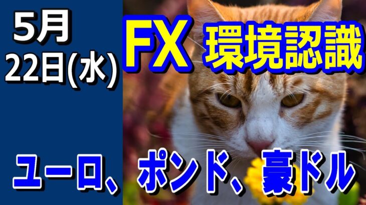 【TAKA FX】ドル、円、ユーロ、ポンド、豪ドルの環境認識解説。5月22日(水)