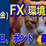 【TAKA FX】ドル、円、ユーロ、ポンド、豪ドルの環境認識解説。5月24日(金)