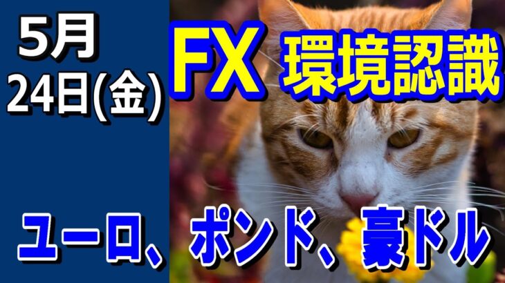 【TAKA FX】ドル、円、ユーロ、ポンド、豪ドルの環境認識解説。5月24日(金)