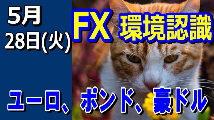 【TAKA FX】ドル、円、ユーロ、ポンド、豪ドルの環境認識解説。5月28日(火)