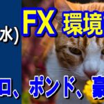 【TAKA FX】ドル、円、ユーロ、ポンド、豪ドルの環境認識解説。5月29日(水)