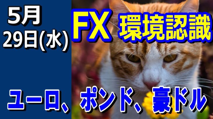 【TAKA FX】ドル、円、ユーロ、ポンド、豪ドルの環境認識解説。5月29日(水)