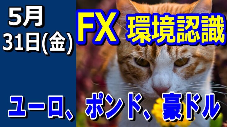 【TAKA FX】ドル、円、ユーロ、ポンド、豪ドルの環境認識解説。5月31日(金)