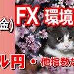 【TAKA FX】ドル円他各通貨の環境認識解説。各種指数、GOLDなど　5月10日(金)