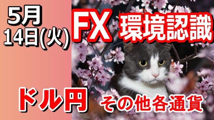 【TAKA FX】ドル円他各通貨の環境認識解説。各種指数、GOLDなど　5月14日(火)