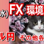 【TAKA FX】ドル円他各通貨の環境認識解説。各種指数、GOLDなど　5月15日(水)