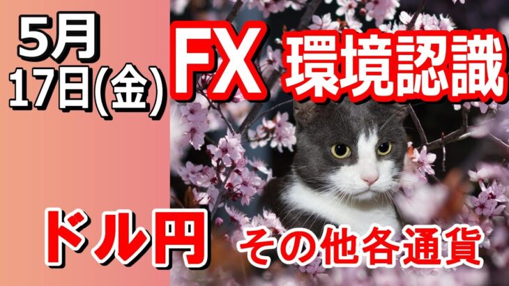 【TAKA FX】ドル円他各通貨の環境認識解説。各種指数、GOLDなど　5月17日(金)