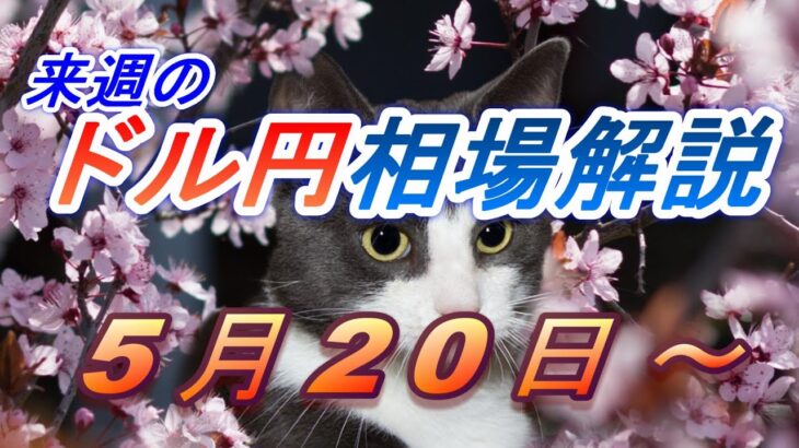 【TAKA FX】ドル円他各通貨の環境認識解説。各種指数、GOLDなど　5月20日(月)～