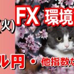 【TAKA FX】ドル円他各通貨の環境認識解説。各種指数、GOLDなど　5月21日(火)