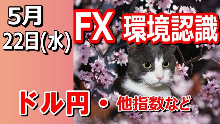 【TAKA FX】ドル円他各通貨の環境認識解説。各種指数、GOLDなど　5月22日(水)