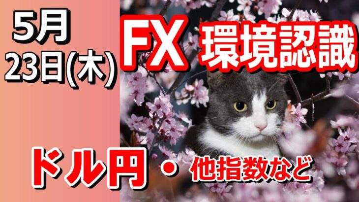 【TAKA FX】ドル円他各通貨の環境認識解説。各種指数、GOLDなど　5月23日(木)