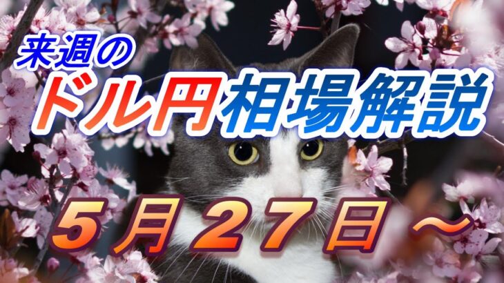 【TAKA FX】ドル円他各通貨の環境認識解説。各種指数、GOLDなど　5月27日(月)～