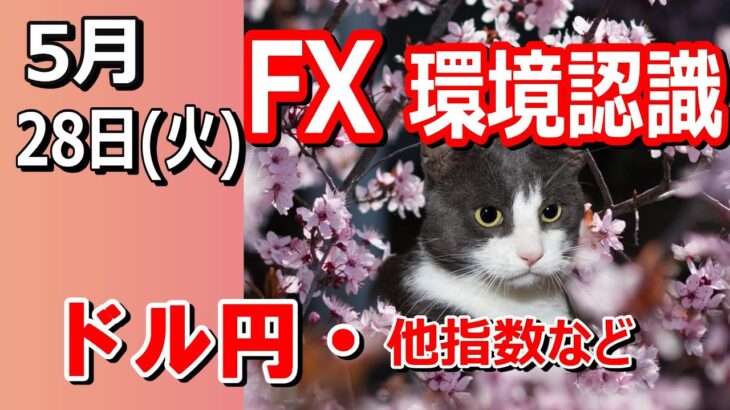 【TAKA FX】ドル円他各通貨の環境認識解説。各種指数、GOLDなど　5月28日(火)