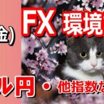 【TAKA FX】ドル円他各通貨の環境認識解説。各種指数、GOLDなど　5月3日(金)