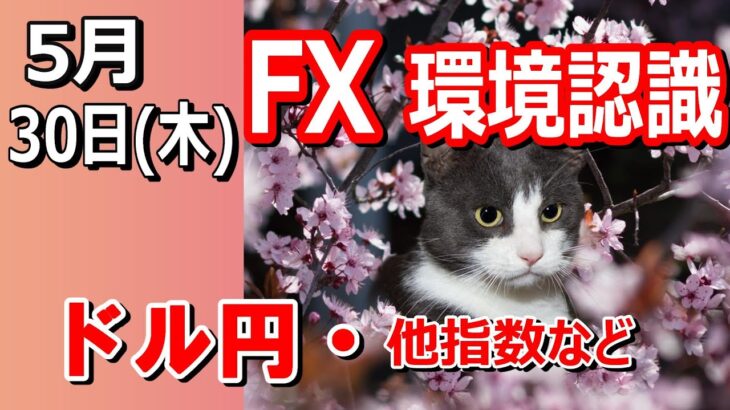 【TAKA FX】ドル円他各通貨の環境認識解説。各種指数、GOLDなど　5月30日(木)