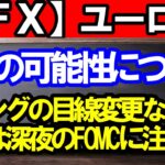 【ＦＸ】ユーロ円　４Ｈサイクル２つの可能性について！