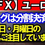 【ＦＸ】ユーロ円　じわじわと上昇！ロングポジションは分割決済推奨！