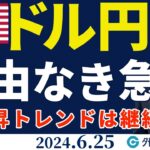 ドル円、160円を前に理由なき急落に驚き｜上昇トレンドは継続中（今日のFX予想）2024/6/25