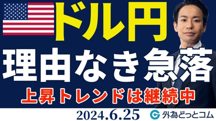 ドル円、160円を前に理由なき急落に驚き｜上昇トレンドは継続中（今日のFX予想）2024/6/25