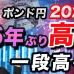 【2024年6月26日】ポンド円202円  16年ぶり高値  一段高へ　英国では8月からの利下げが視野に入りますがこれでポンドが天井を打ち反落となるか？突き詰めて考えていきます