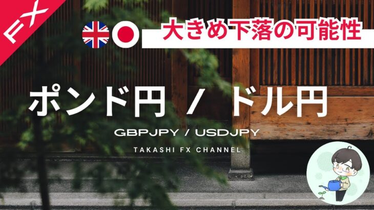 【ポンド円/ドル円】ポンド円大きめ下落の可能性あり！ドル円も調整の動きか？！【2024/6/27】