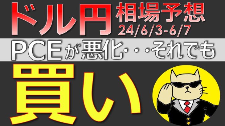 【ドル円最新予想】ドル円は急落したら迷わず買い！けど攻め時を間違えると大損します。いつトレードすれば勝てる？簡単解説！来週の為替相場予想と投資戦略！雇用統計・介入に注目(24/6/3週)【FX】※