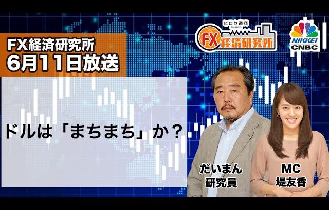 6月11日放送 『FX経済研究所』（ドルは「まちまち」か？）日経CNBC