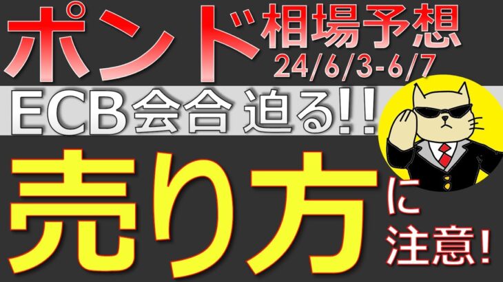 【ポンド最新予想】知らないと負ける！ポンドの正しい売り方！売りタイミングと合わせて簡単解説！来週のポンド・ユーロの最新為替相場予想と投資戦略！ECB・介入に注目 (24/6/3週)【FX】※