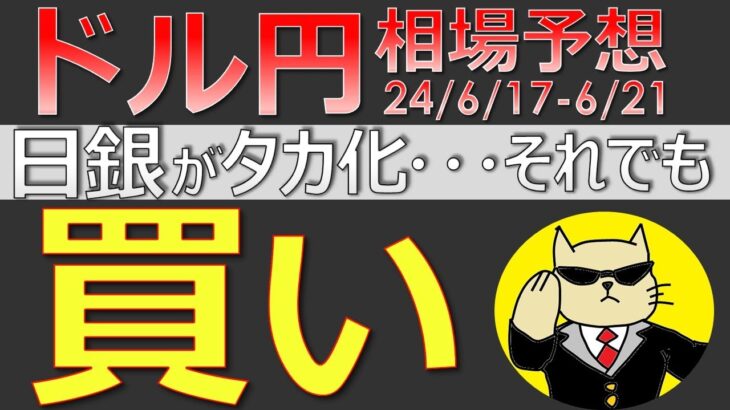 【ドル円最新予想】日銀タカでもユーロショックでもドル円は買い！理由を簡単解説！来週の為替相場予想と投資戦略！欧州議会選・EU離脱・マクロン・Frexit・PMIに注目(24/6/17週)【FX】※