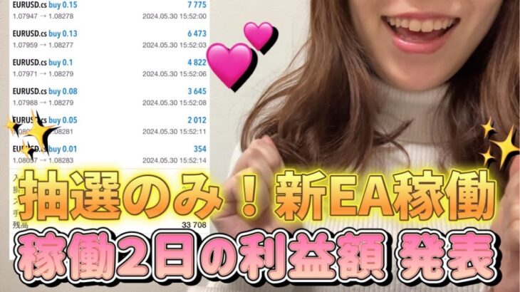 【 FX 自動売買 】1000%!?10万円が100万円？ユーロドルEA