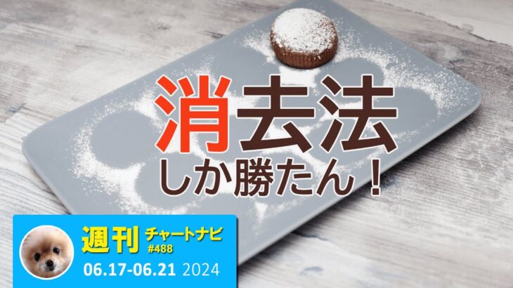 正しい選択肢なんて探すな！FXは「消去法」でしか勝てない。/週ナビ488