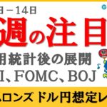 FXのライブ解説、6/10-14 来週の注目点「米雇用統計後の展開」 (2024年6月7日)