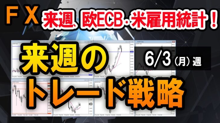 【FX】ポンド円の日足ラインに注目！／ドル円スキャルの実例【6/3週】