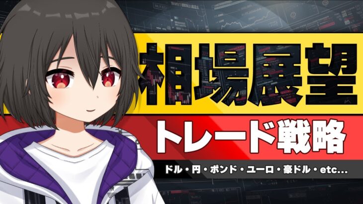 【FX/CFD】過去最多の解説！600pips狙える通貨ペアまで紹介！相場展望（2024/06/10～）ドル円やゴールド、ビットコインまでマーケット最新予想をチャートで解説