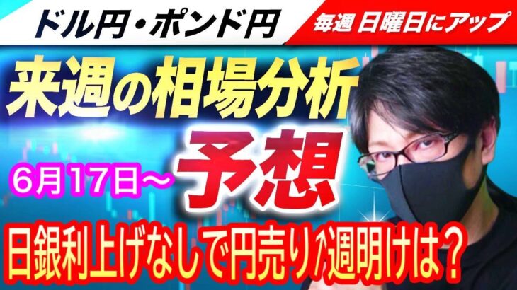 【FX来週の相場分析と予想】日銀会合が利上げなしで円売り、米FOMCは利下げなしでドル買い！円安が継続！ドル円・ポンド円、来週の反発ポイントを見極めろ！（6月17日～6月21日）