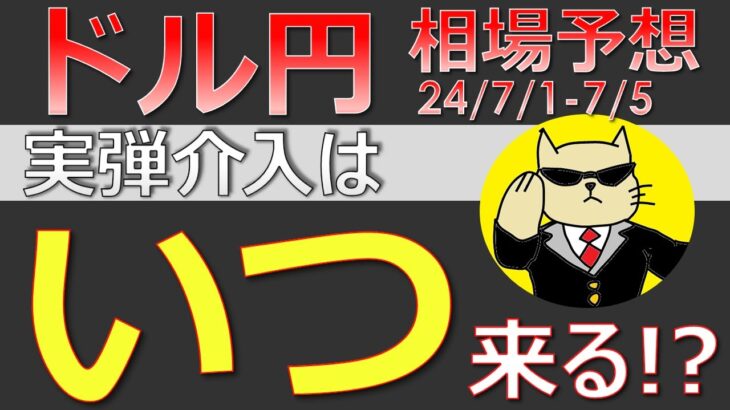 【ドル円最新予想】実弾介入が来るのは××円の時！ドル円の攻め方と合わせて簡単解説！来週の為替相場予想と投資戦略！雇用統計・ISM・仏下院議会選挙・ECBフォーラムに注目(24/7/1週)【FX】※