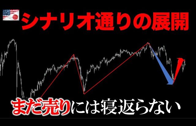 雇用統計前！運試しエントリーNG【FXポンド円/ドル円相場予測】