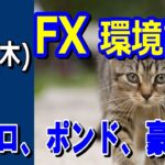 【TAKA FX】ドル、円、ユーロ、ポンド、豪ドルの環境認識解説。6月13日(木)