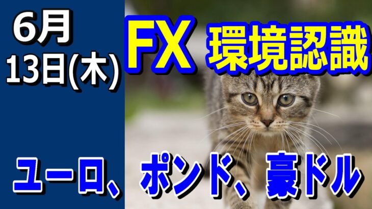 【TAKA FX】ドル、円、ユーロ、ポンド、豪ドルの環境認識解説。6月13日(木)