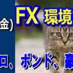 【TAKA FX】ドル、円、ユーロ、ポンド、豪ドルの環境認識解説。6月14日(金)