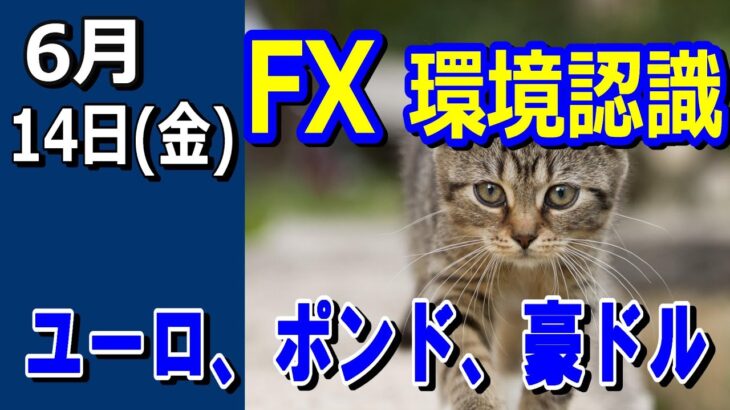 【TAKA FX】ドル、円、ユーロ、ポンド、豪ドルの環境認識解説。6月14日(金)