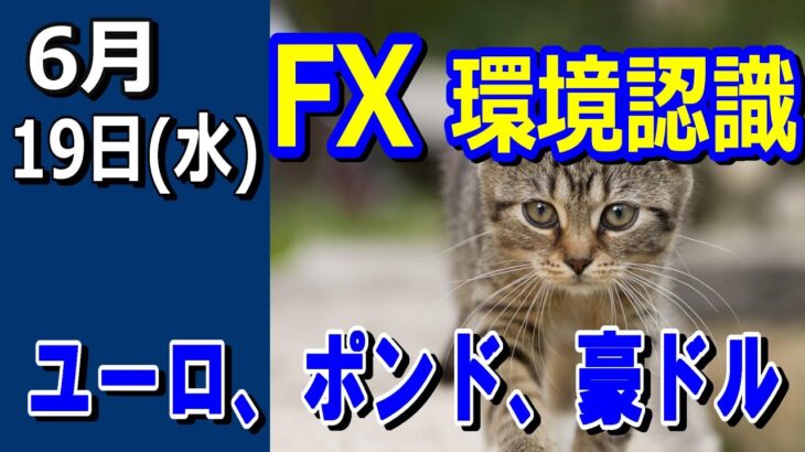 【TAKA FX】ドル、円、ユーロ、ポンド、豪ドルの環境認識解説。6月19日(水)